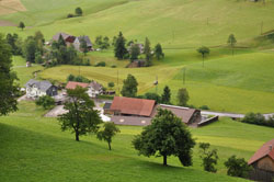 grønne marker i schweiz